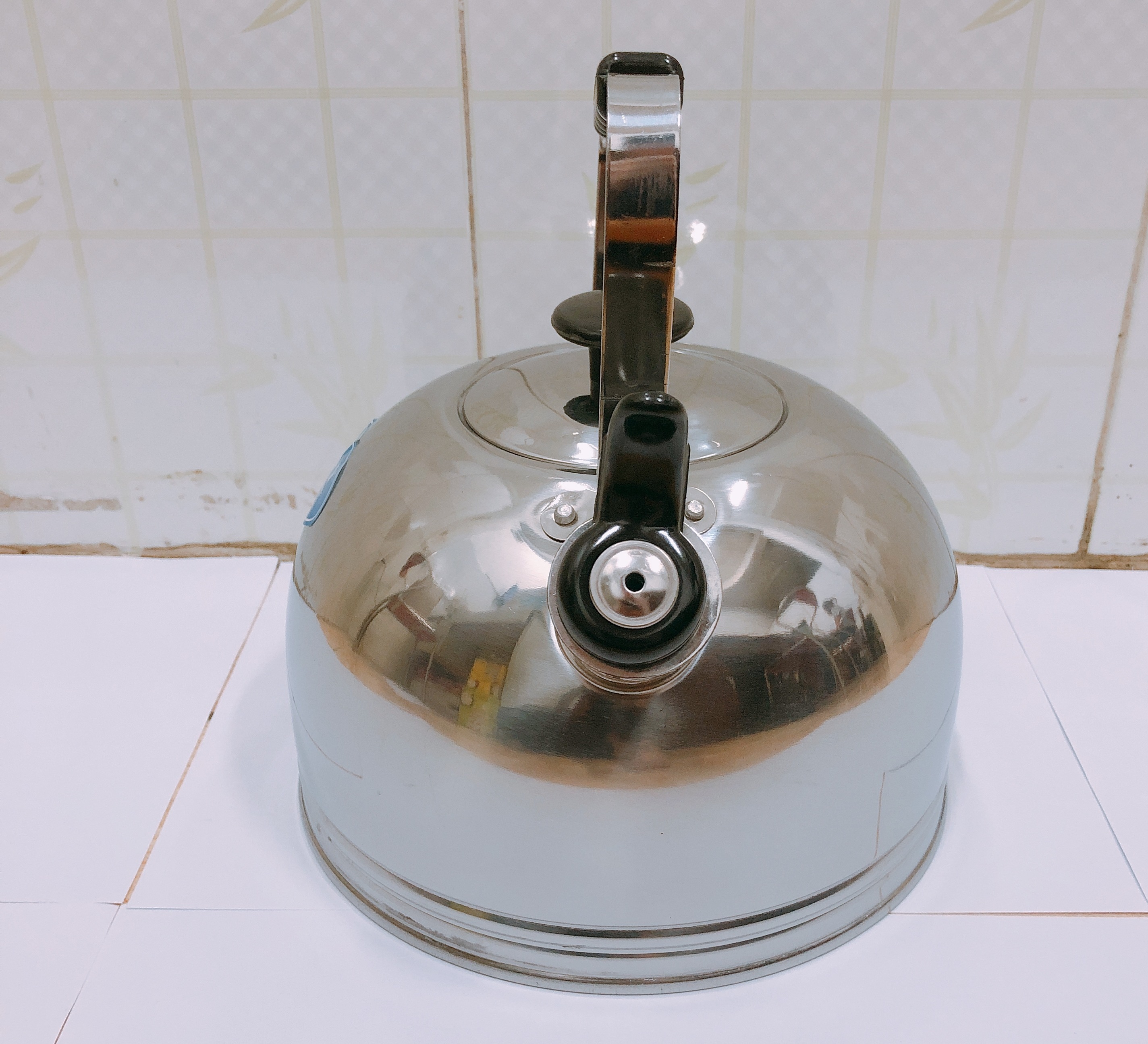 Ấm reo đun nước 3L inox Rainy RN-3LTT (có hình thật)