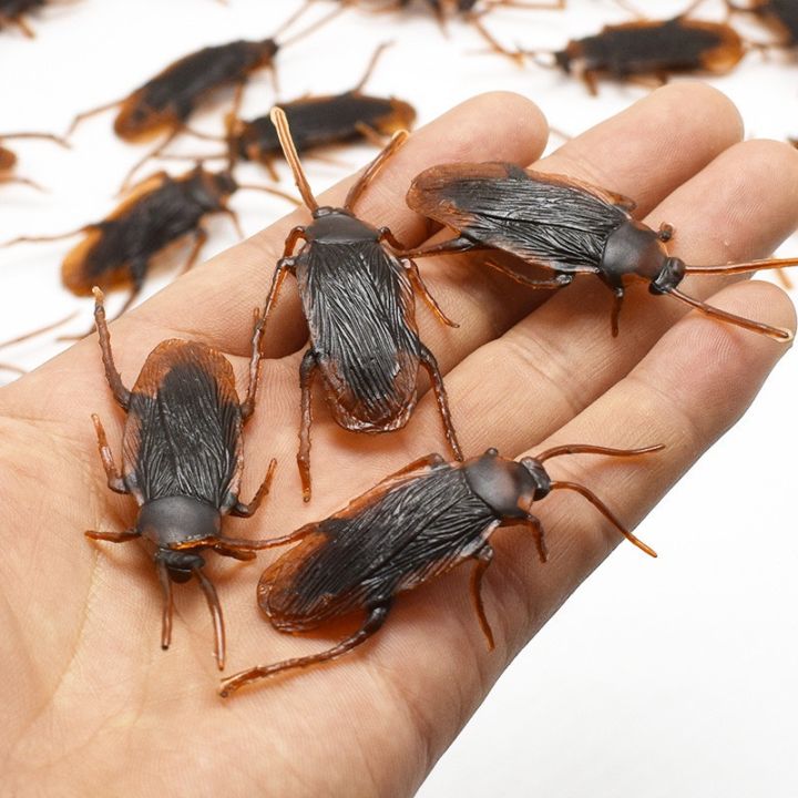 Con Dán Nhựa Cao su Đồ Chơi; Nhện Đồ Chơi