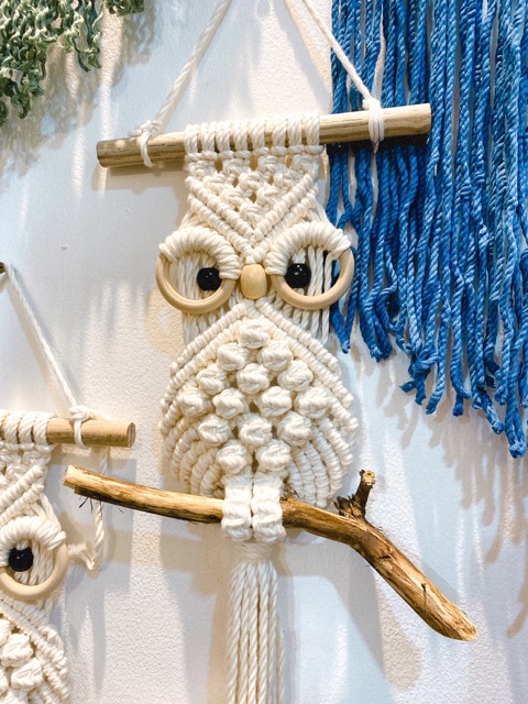 Cú macrame treo tường khang trí nhà