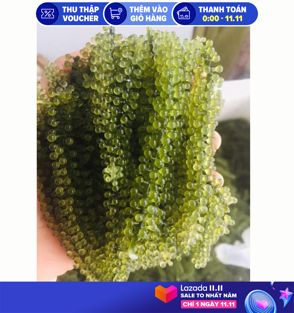 200gr Rong Nho Tách Nước giá sỉ