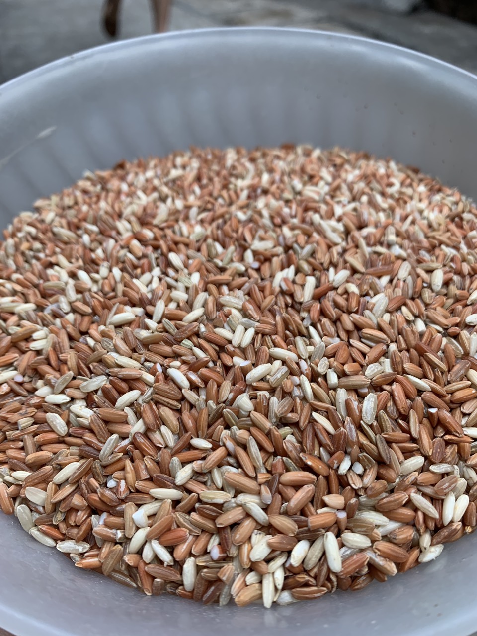 GẠO ĐIỆN BIÊN LỨT DẺO  ( 1kg )