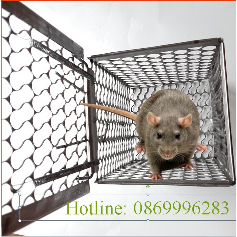 Bẫy chuột lồng vuông loại 25cm