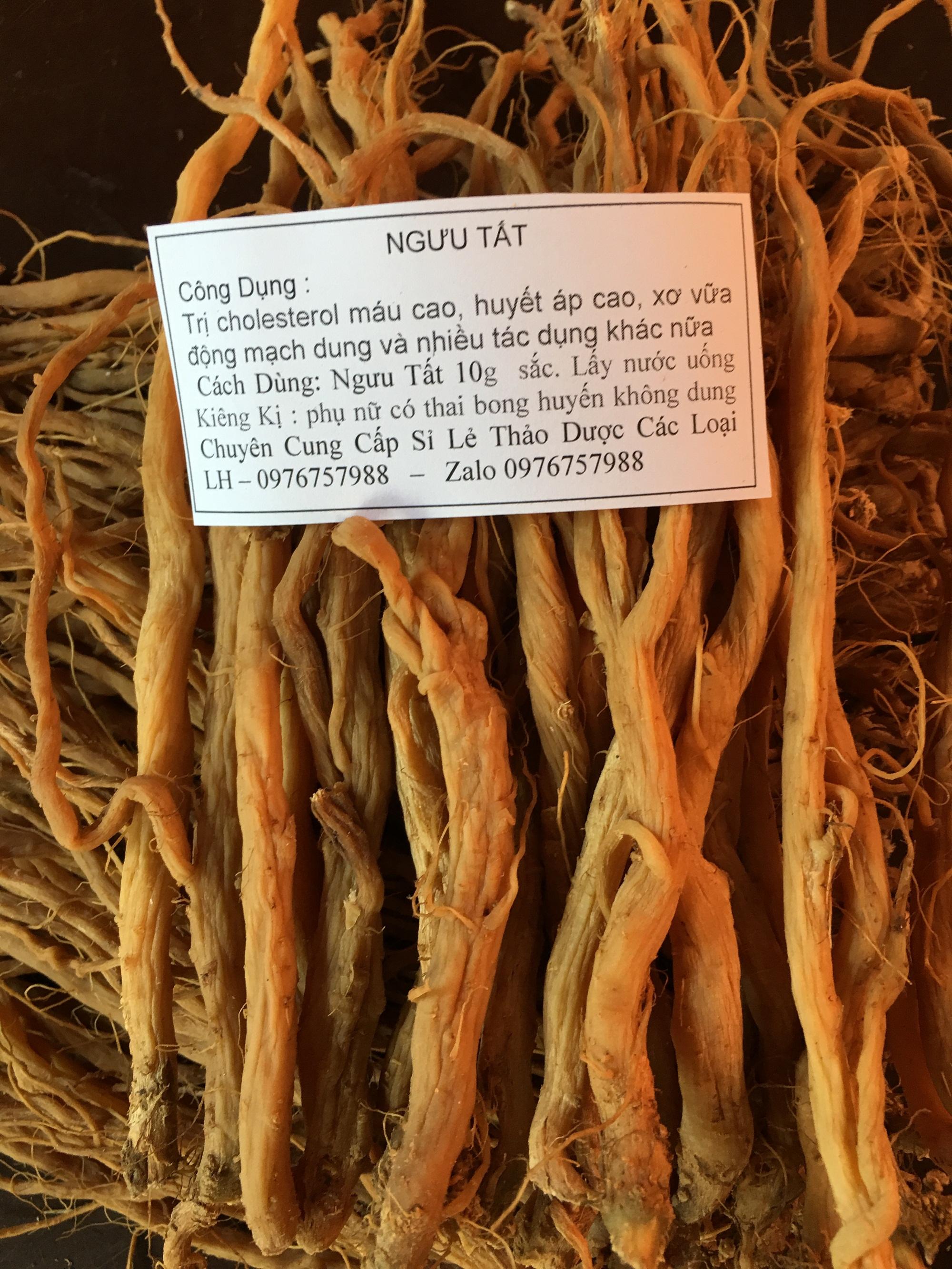 1kg ngưu tất nam loại tốt - có tặng quà
