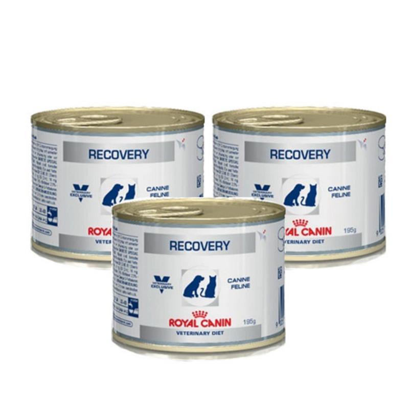 Thức ăn Pate cho chó mèo Royal canin Recovery 195g giúp phục hồi sức khỏe - Pate dinh dưỡng cho thú cưng phục hồi sức khỏe