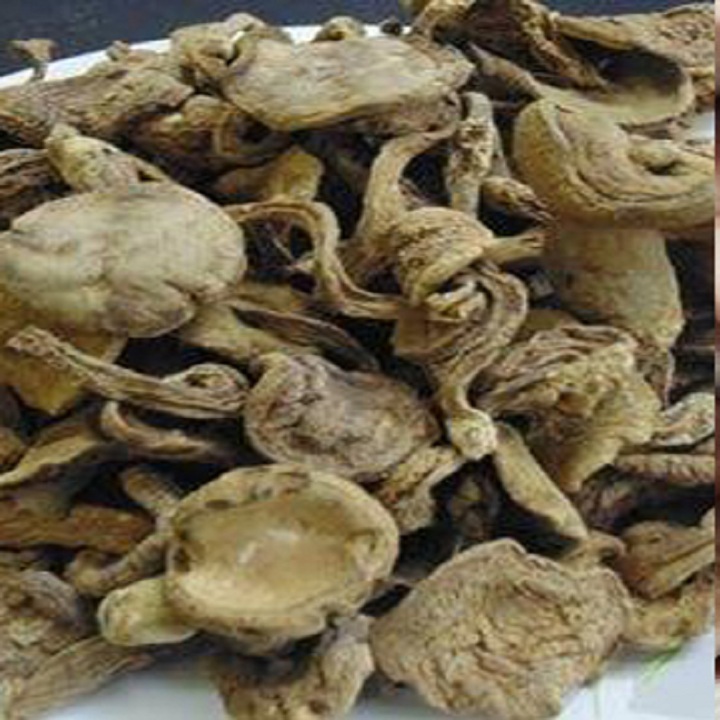 200G NẤM TRÀM KHÔ BAO NGON