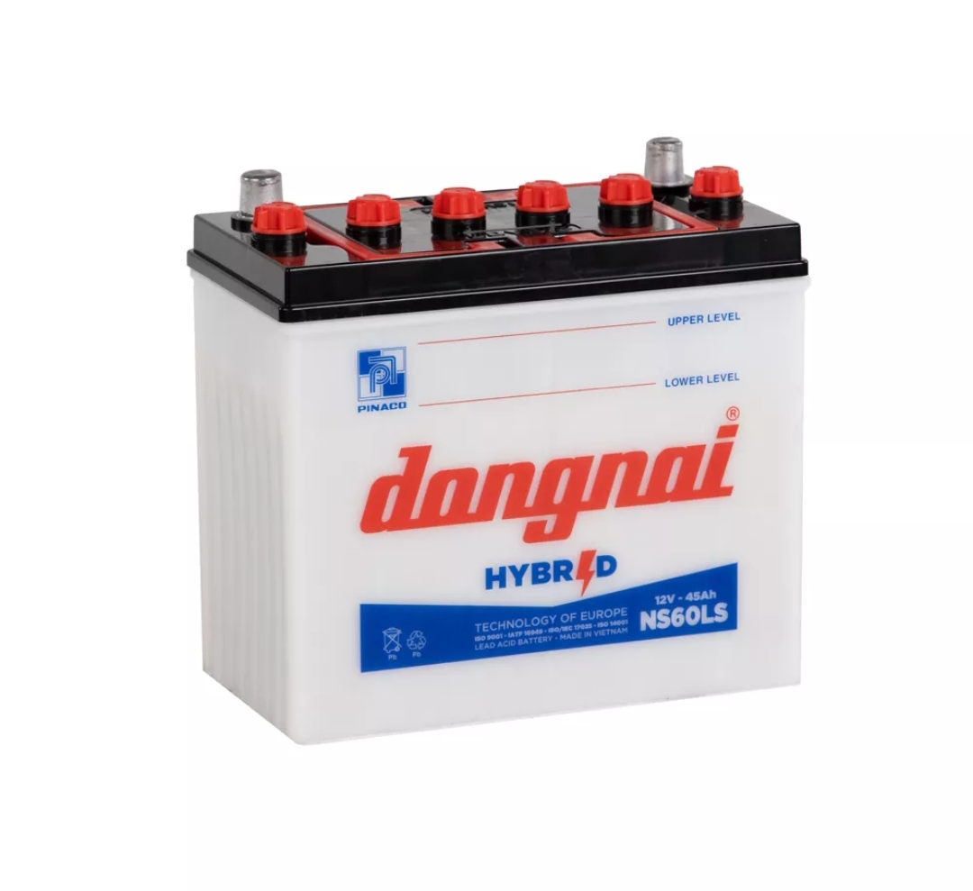ẮC QUY ĐỒNG NAI NS60LS 12V-45AH ( tặng kèm acid )