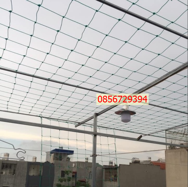 Lưới giàn leo , lưới giàn cây, lưới trồng cây leo ( kích thước 3m x 5m)