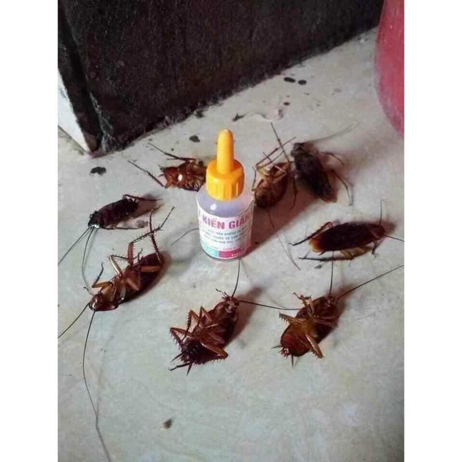 (ComBo) 5 LỌ THUỐC DIỆT KIẾN - GIÁN - DIỆT TẬN GỐC. VM