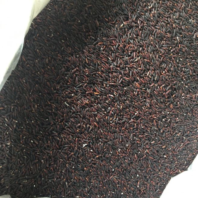 4kg gạo nếp cẩm gạo tím than