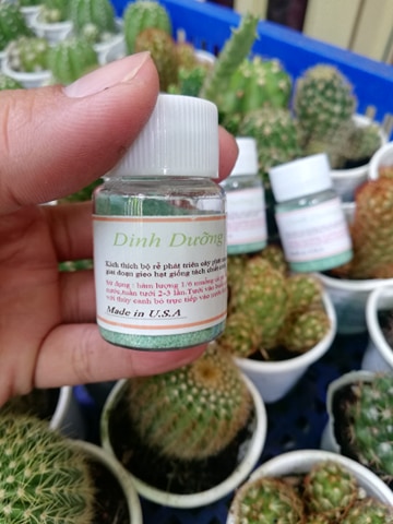 [HCM]Phân bón thúc rễ cho cây trồng