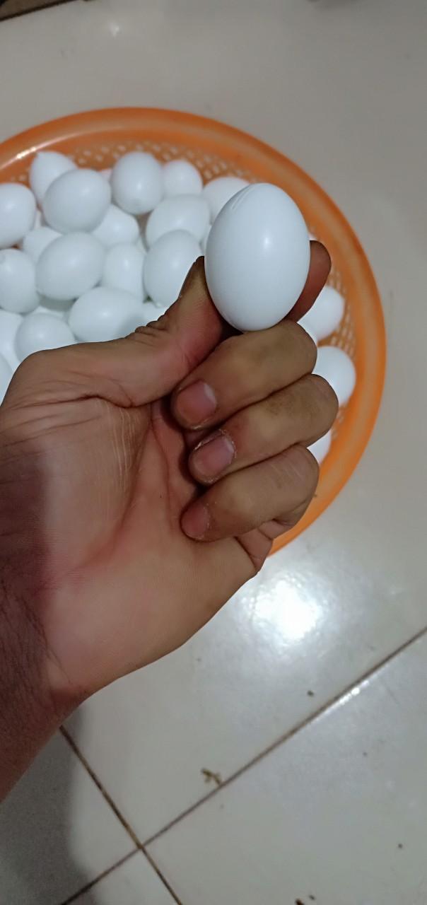 combo 10 trứng giả cho chim bồ câu