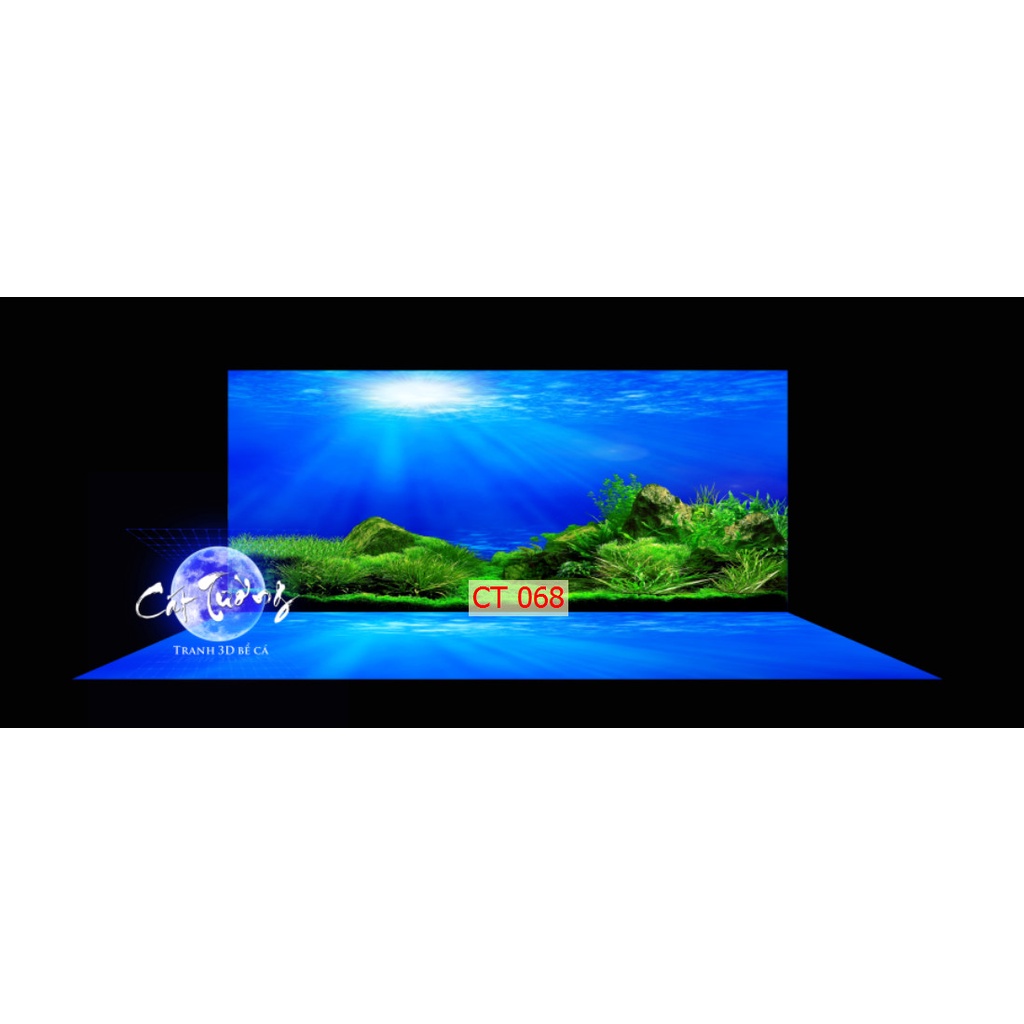 Tranh 3d dán bể cá thủy sinh, bể cá rồng