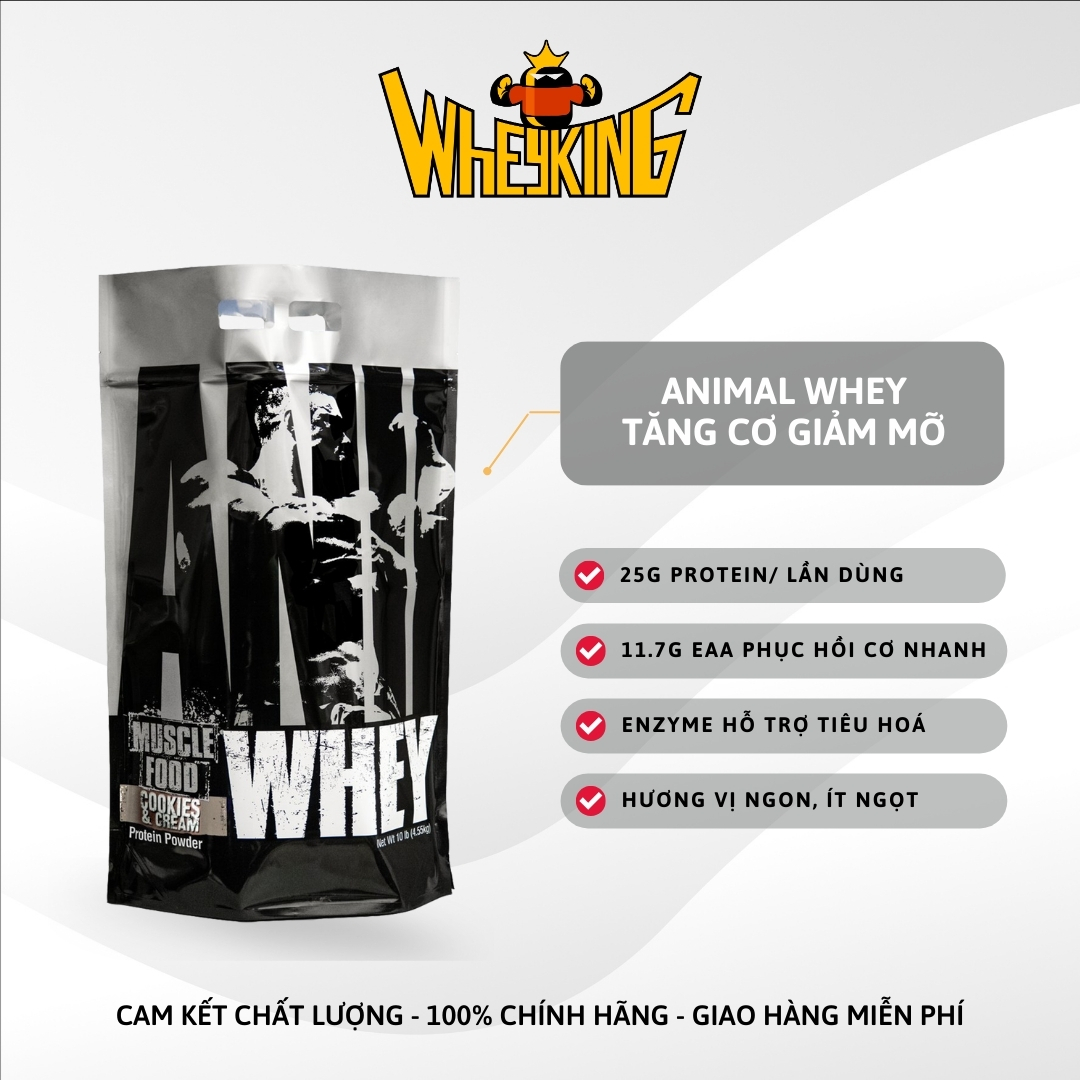 Animal Whey protein tăng cơ hiệu quả