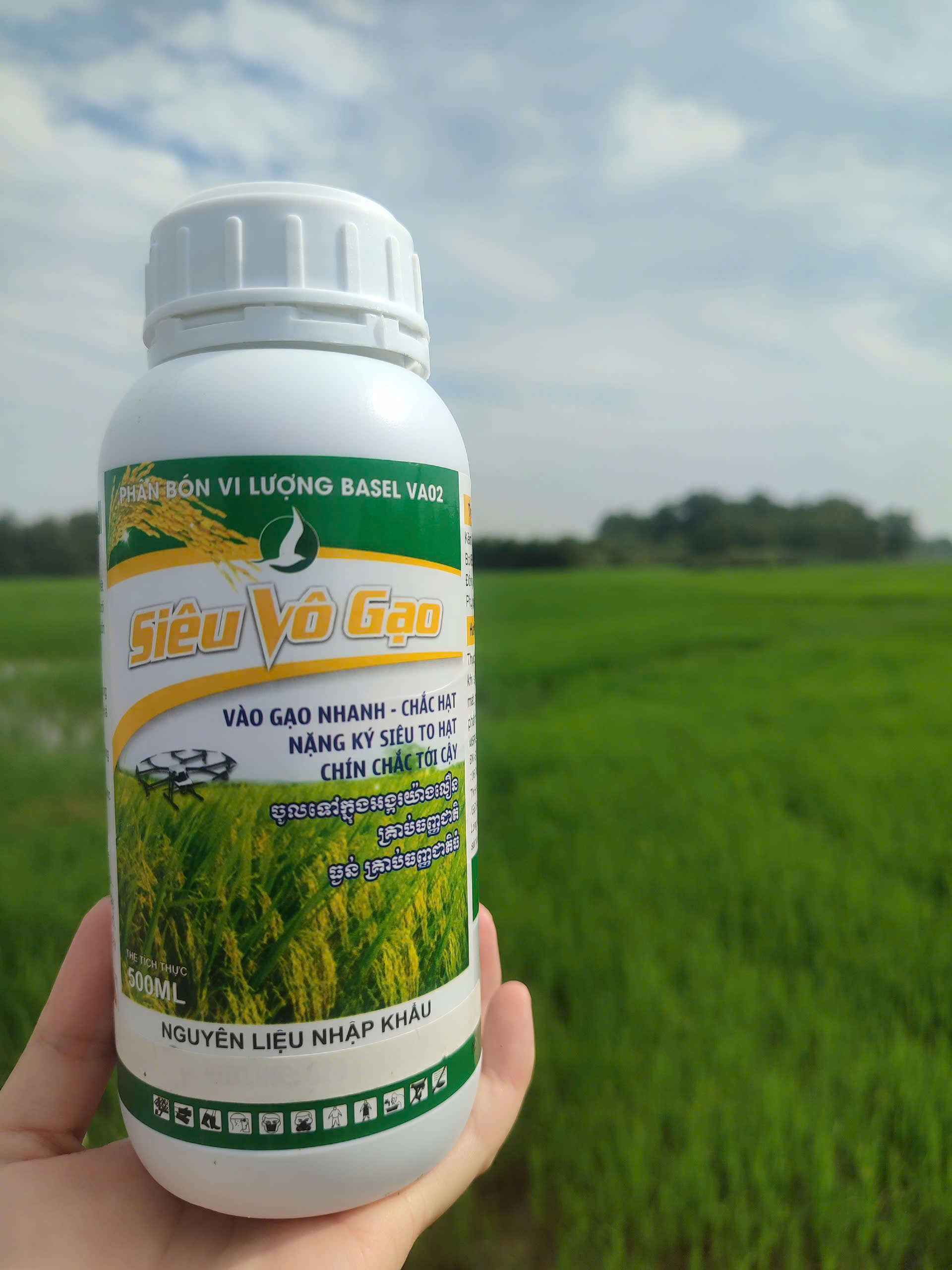 PHÂN BÓN SIÊU VÔ GẠO (CHAI 500ML) - giúp lúa trổ thoát đồng, vô gạo nhanh