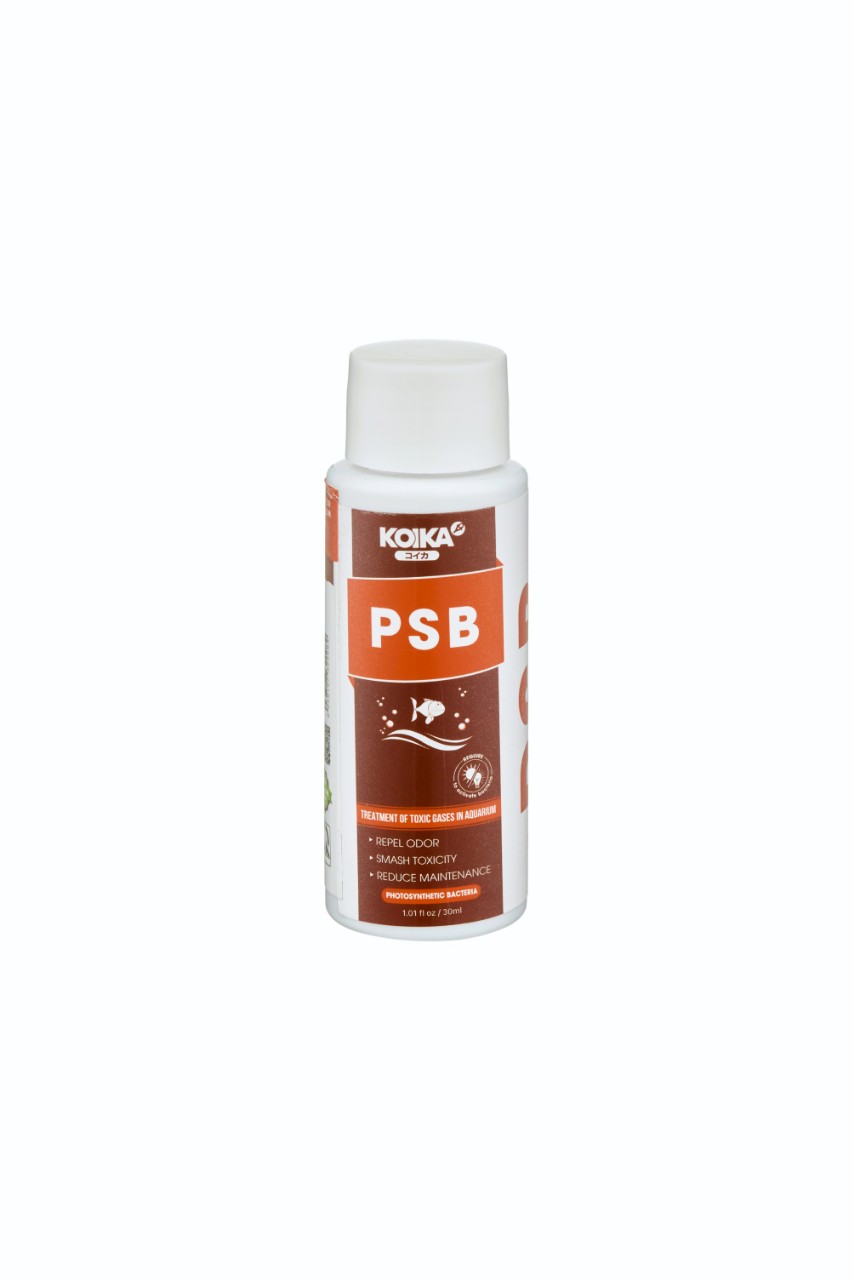 Vi Sinh Quang Dưỡng KOIKA PSB 30ML