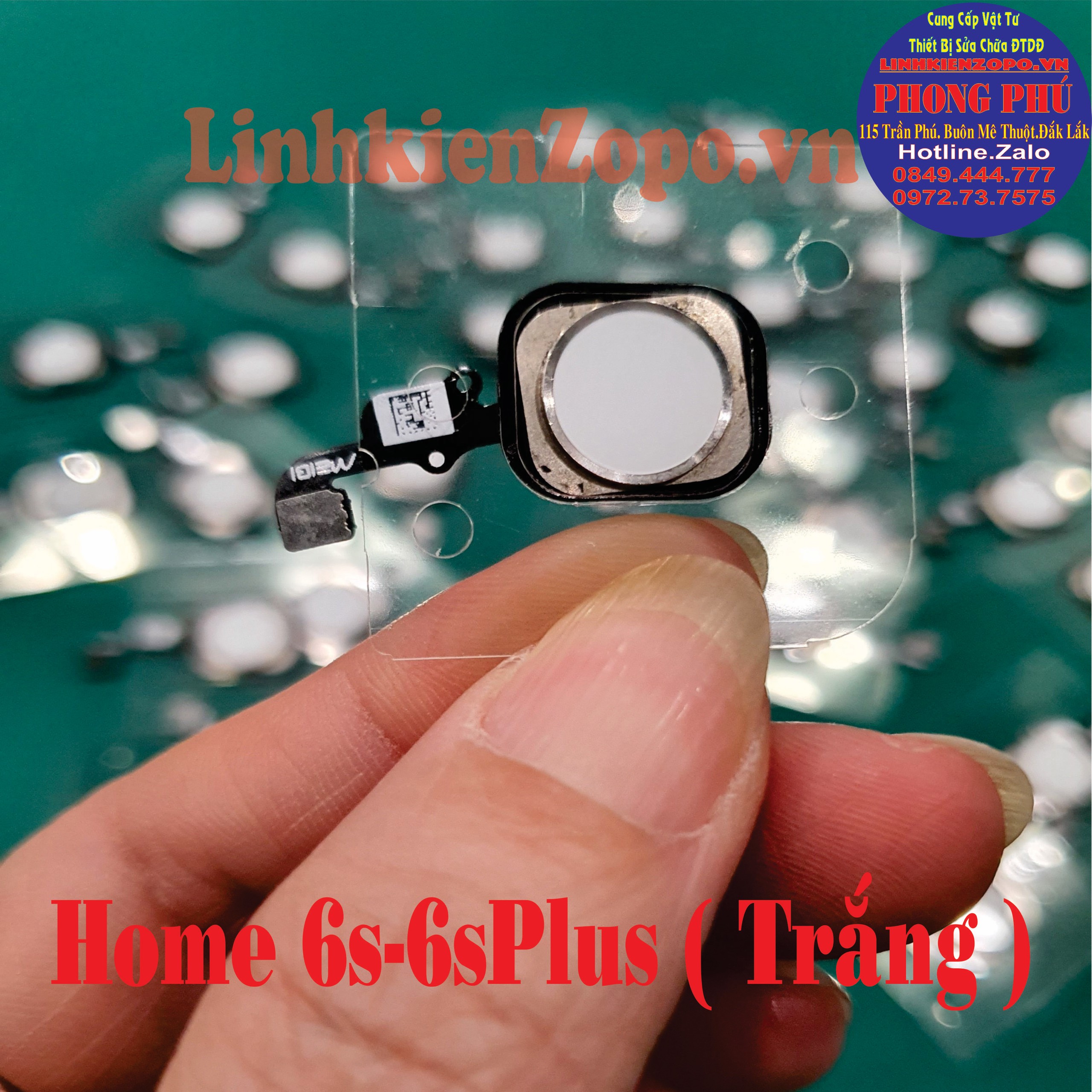 Nút Home Vật Lý iPhone 6G-6plus ( Trắng - Đen )