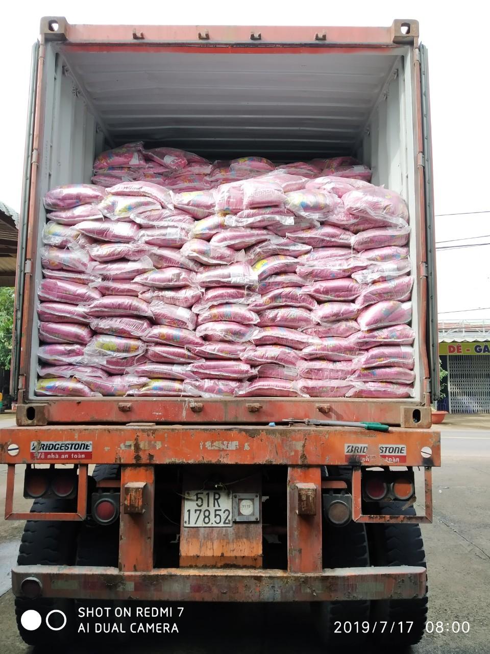 Cát vệ sinh cho mèo Genyo phân phối - McKelly 5L