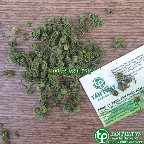 Nụ Hoa Tam Thất 100g Sấy Khô -Dược Tấn Phát