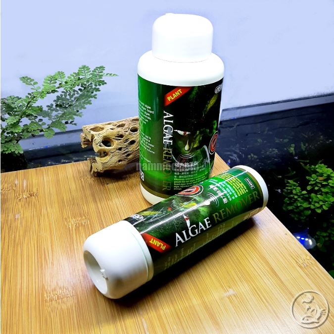 ISTA Premium Algae Remover | Chế Phẩm D.iệt Rêu H.ại Cho Bể Thuỷ Sinh