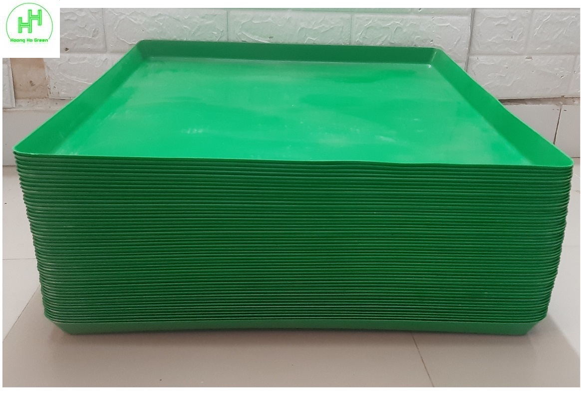 50 Khay/Máng Hứng Phân Chim, Khay Đựng Phân Gà, Khay Hứng Phân Chim Bồ Câu, Kích Thước 49x49Cm