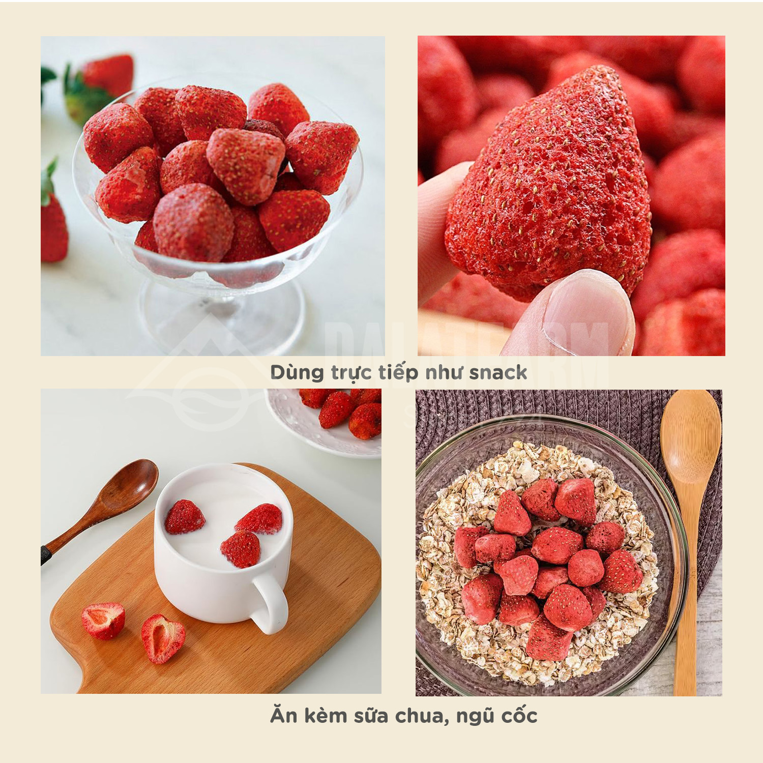 Dâu Tây Sấy Giòn - Túi 80g