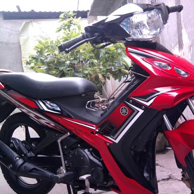 Tem rời exciter 2010 tem in