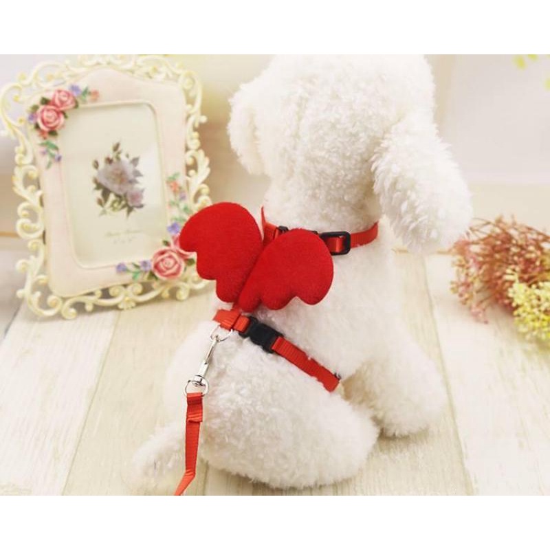 Dây Dắt Yếm Cho Chó Mèo Thú Cưng Cánh Thiên Thần