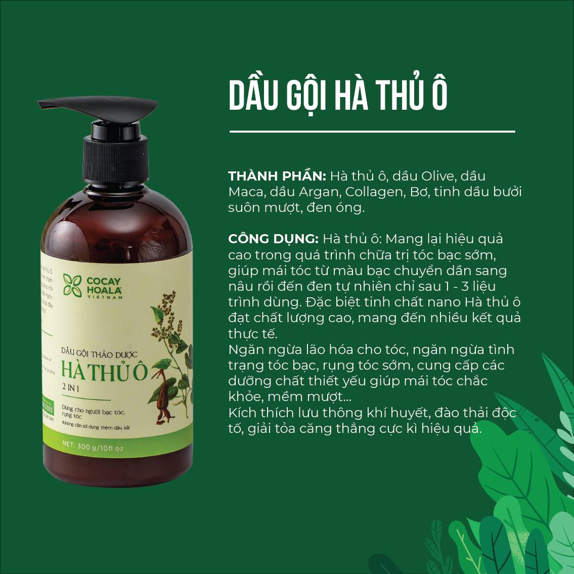 DẦU GỘI THẢO DƯỢC HÀ THỦ Ô (dược liệu thiên nhiên)