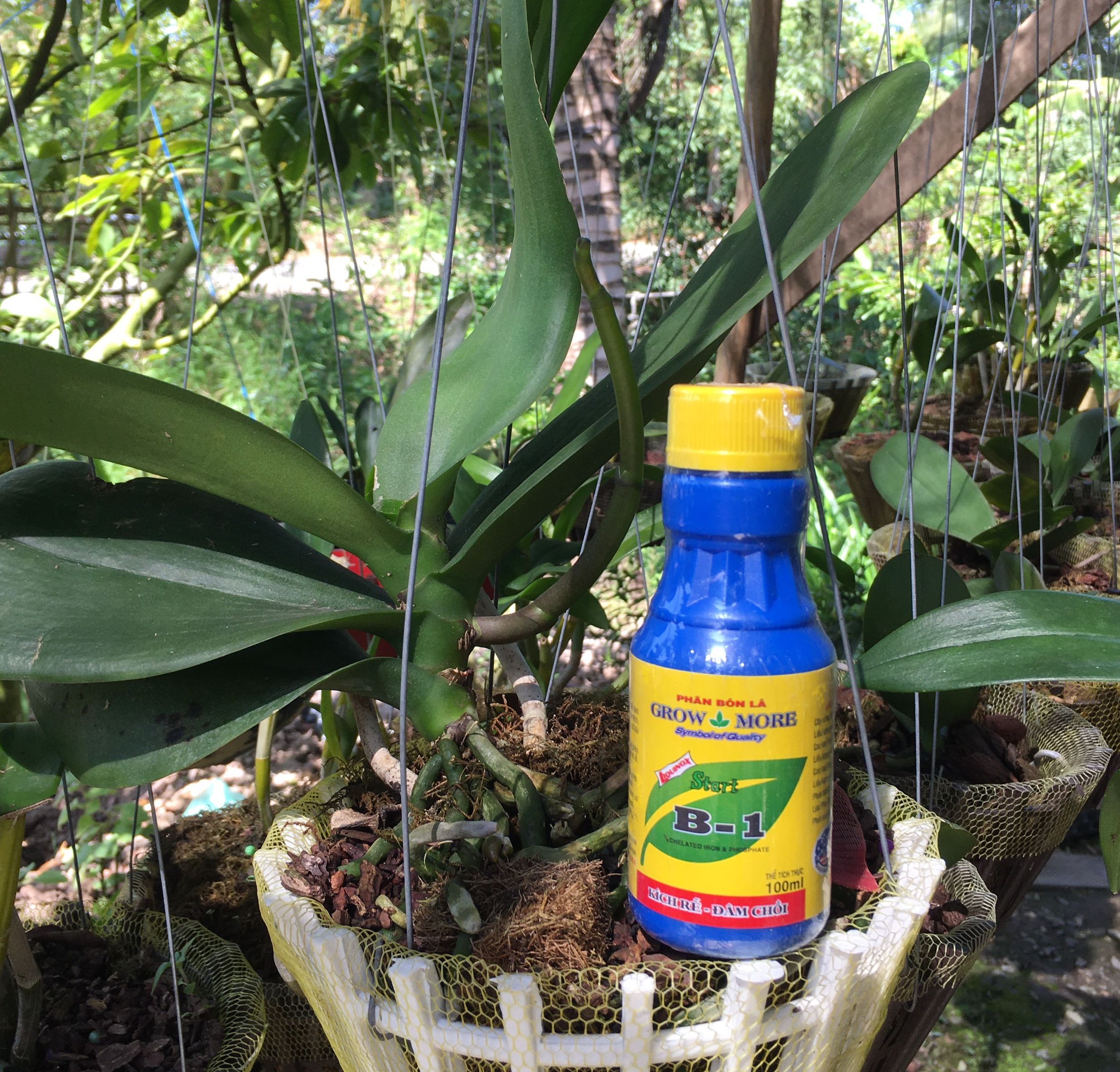 PHÂN BÓN LÁ VITAMIN B1 GROW MORE (100ml)