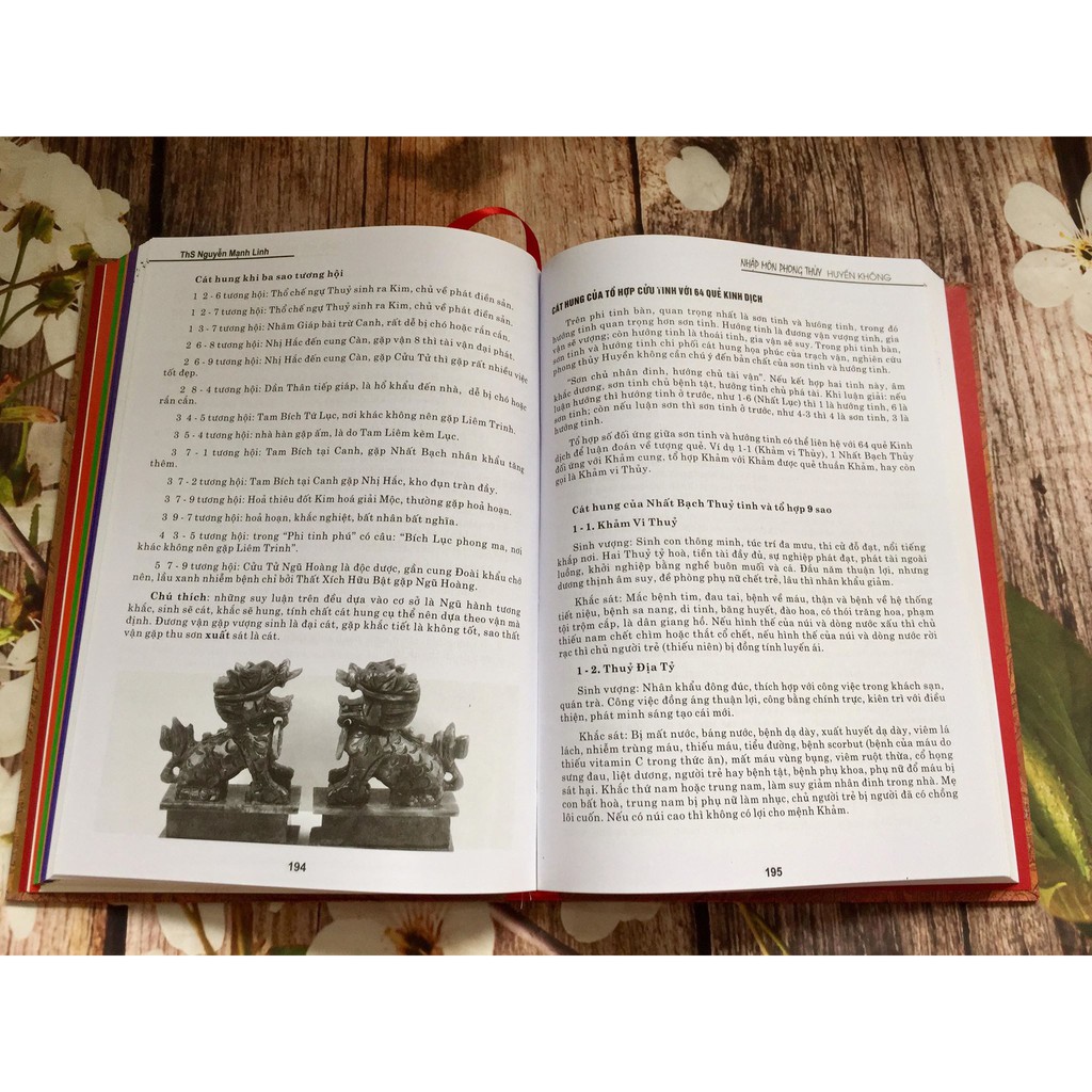 Nhập Môn Phong Thủy Huyền Không ( Nguyễn Mạnh Linh)