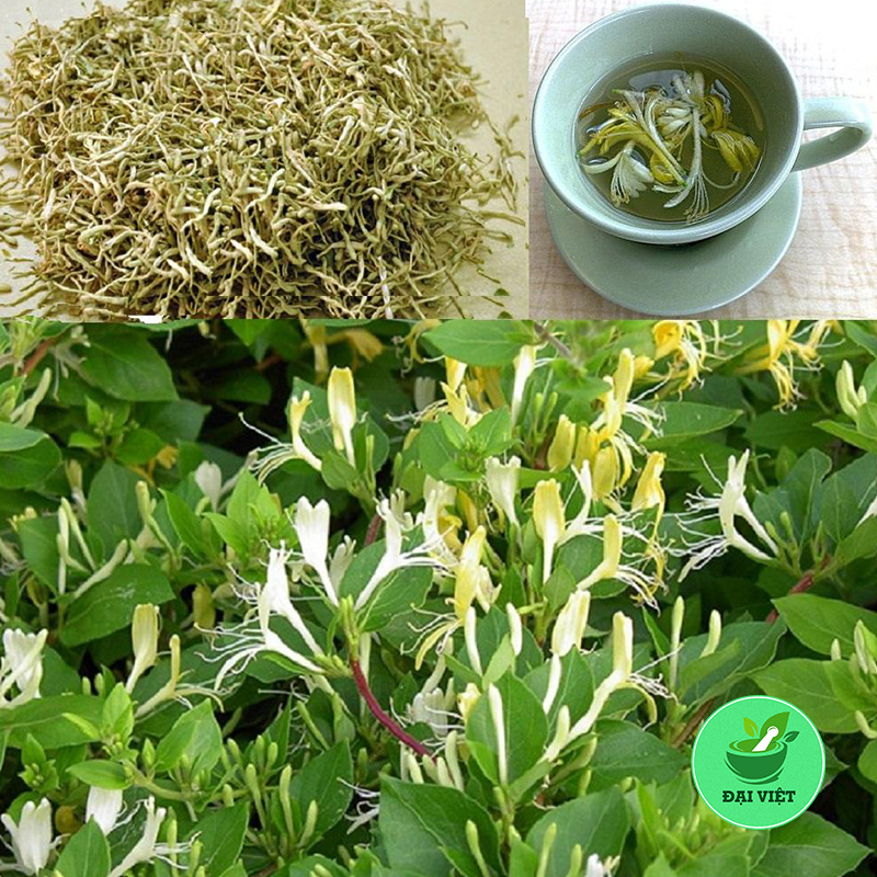 Kim ngân hoa (gói 1kg) sấy khô - DV027