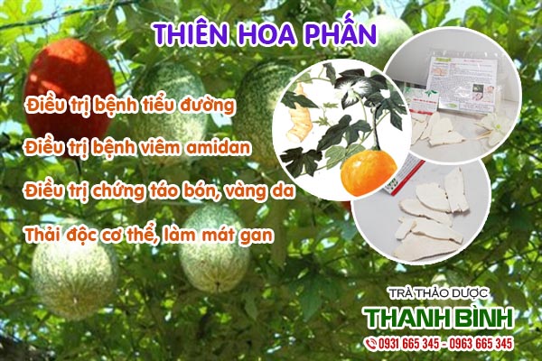 Thiên Hoa Phấn 1Kg Hàng Công Ty - Đông Y Thanh Bình