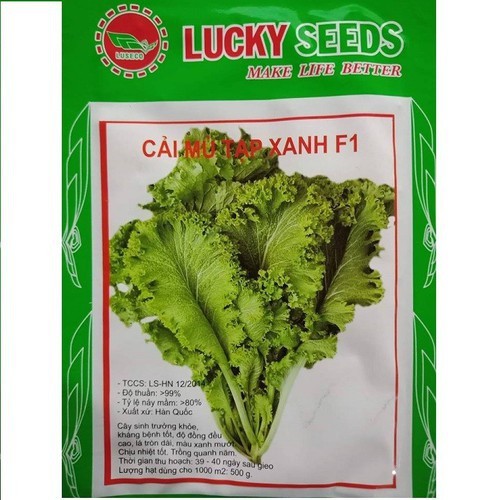Hạt giống rau cải mù tạt xanh F1 - gói 20gram