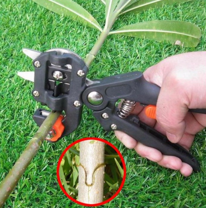 [HCM]Kéo Chiết - Ghép cành đa năng (Cắt Ghép Chiết Tỉa)