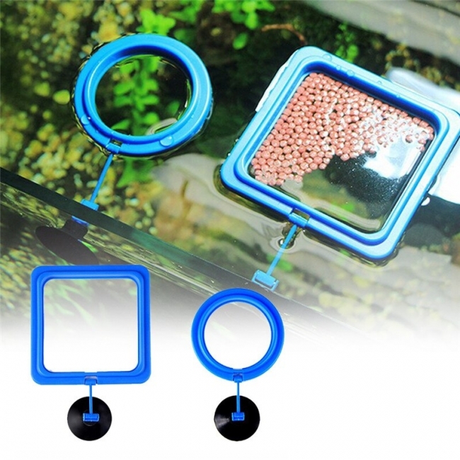 [HOÀN TIỀN 10%]VÒNG CHO CÁ ĂN