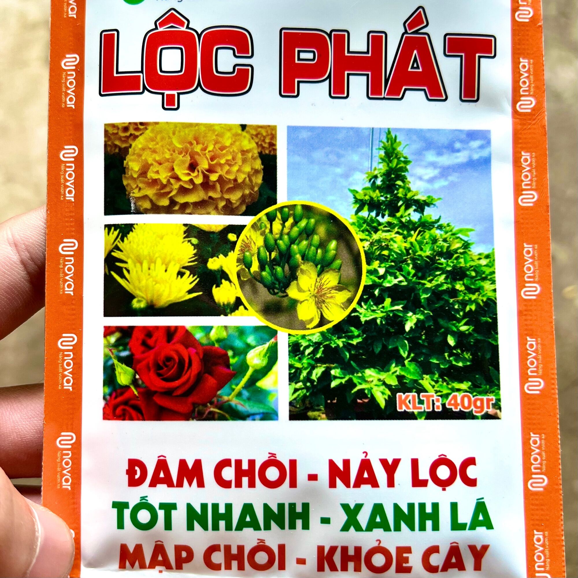 Phân bón đâm chồi nẩy lộc siêu bung chèo vọt đọt tốt nhanh xanh lá mập chồi khoẽ cây