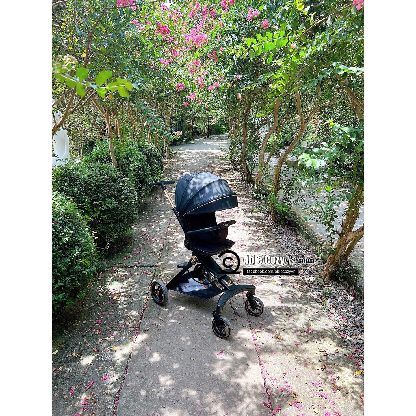 XE ĐẨY ABLE COZY PREMIUM HÀN QUỐC( GẤP GỌN/ ĐẢO CHIỀU / 3 CHẾ ĐỘ)