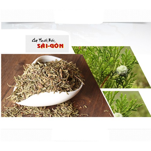 [HCM]TRẮC BÁ DIỆP 100GRAM