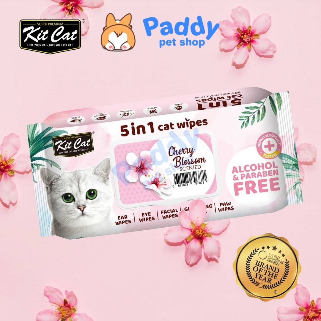 Khăn Giấy Ướt Kháng Khuẩn, Tắm Khô Cho Mèo Kit Cat (80 Miếng)