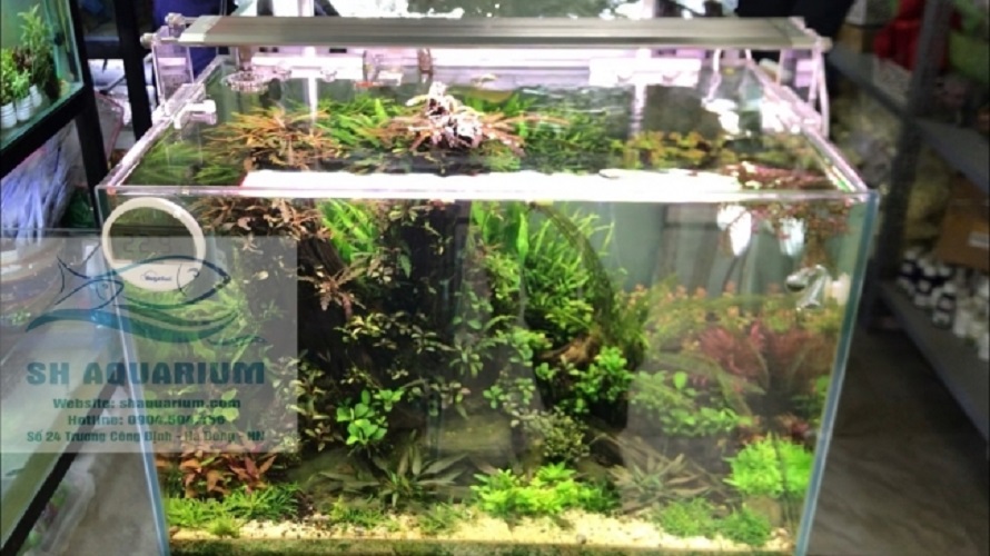 [HOÀN TIỀN 10%]ĐÈN LED WEEK RAPTOR RGB D60CM