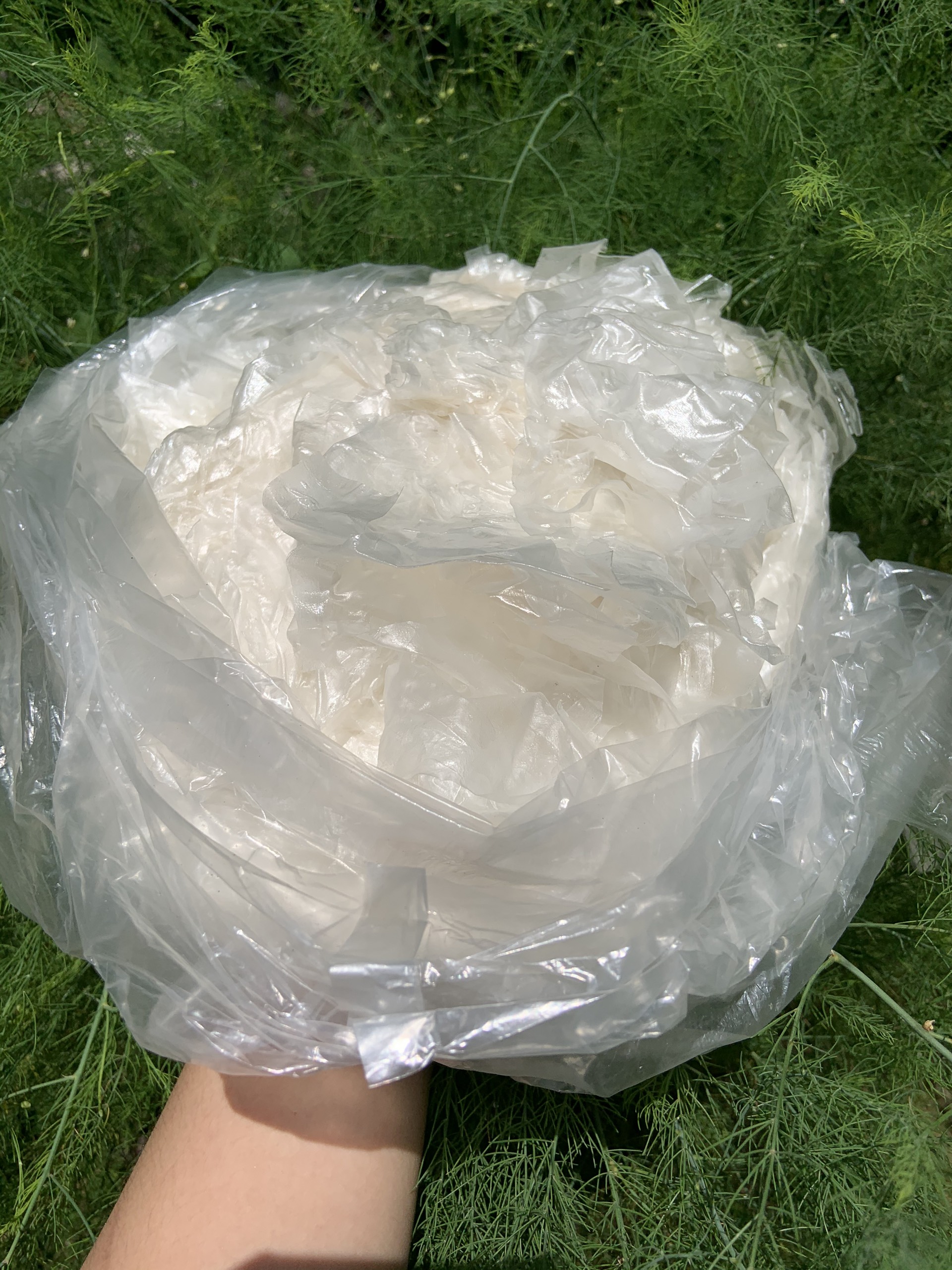 [1kg] Bánh Tráng Rìa Phơi Sương Ngon