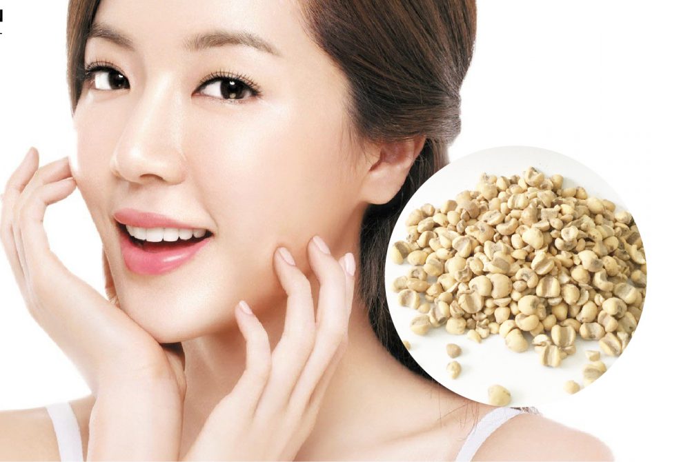Hạt Ý Dĩ ( Hạt Bo Bo) 500Gr