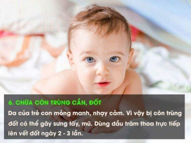 Dầu tràm Thiên An cao cấp tại Huế 100ml