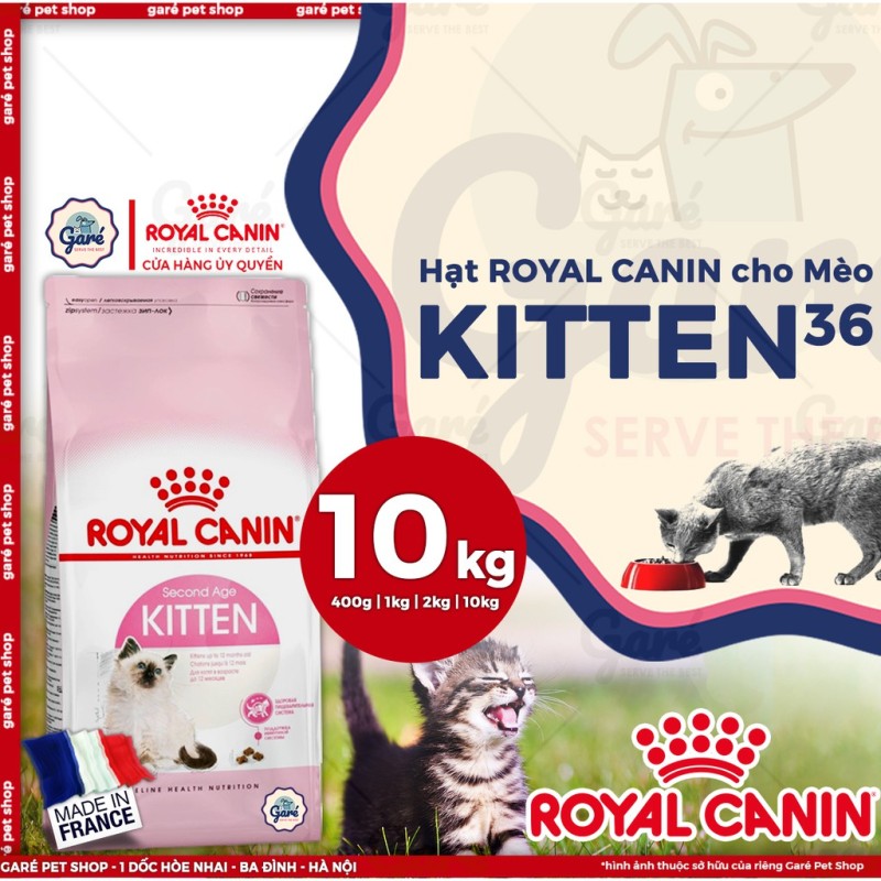 10kg - Hạt Kitten Royal Canin dành cho mèo con từ 4 - 12 tháng tuổi