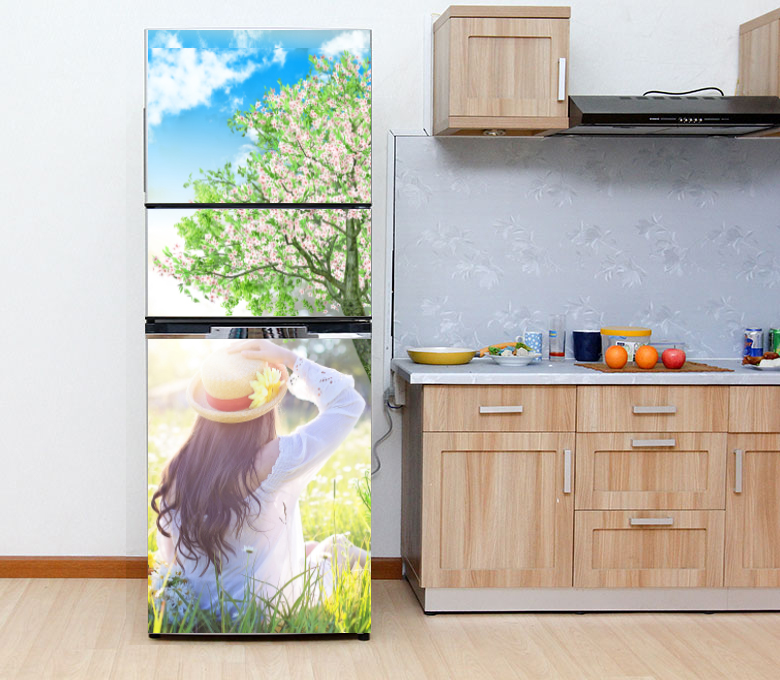 [HCM]DECAL DÁN TRANG TRÍ TỦ LẠNH HÌNH CÔ GÁI