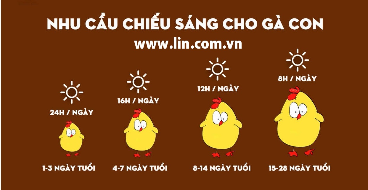 Đèn úm hồng ngoại