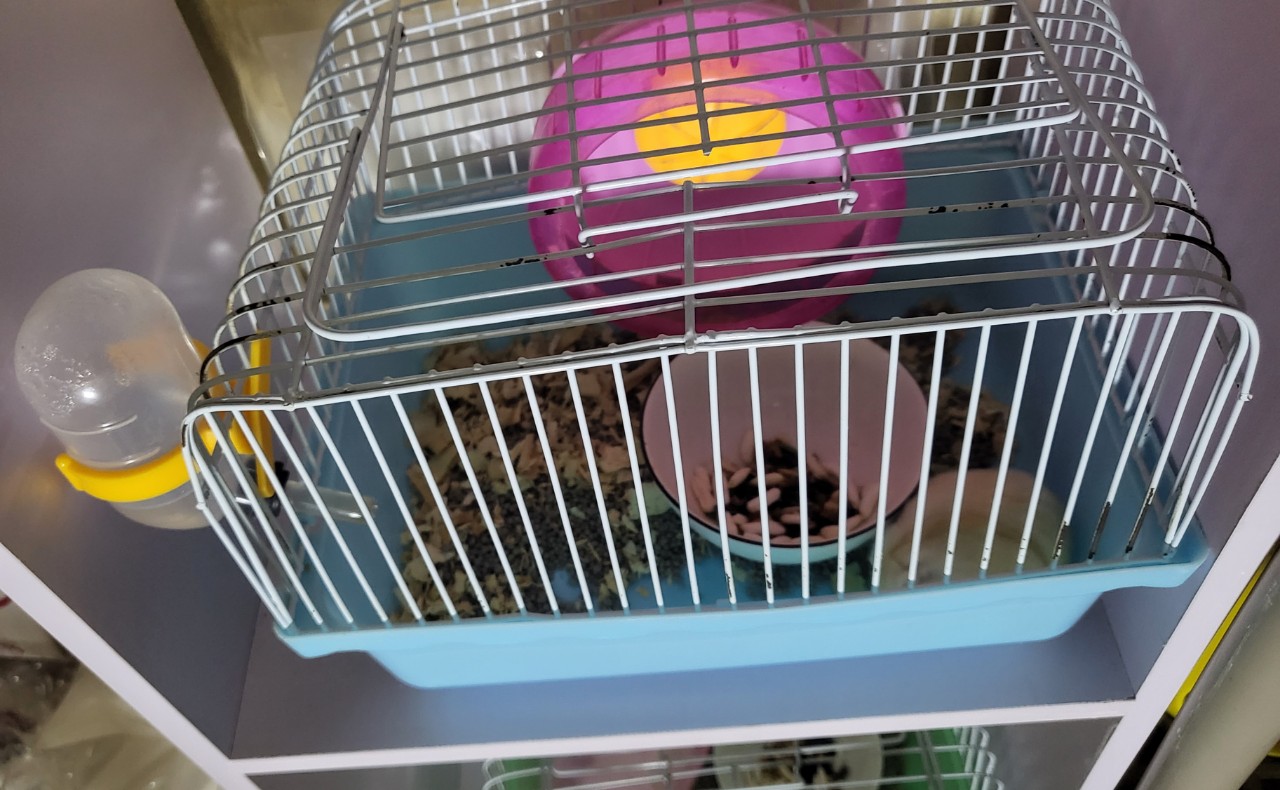 [COMBO] Lồng full phụ kiện Hamster dành cho người mới nuôi