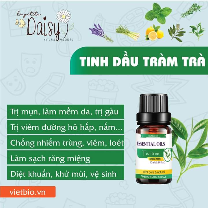 Tinh dầu tràm trà 10ml