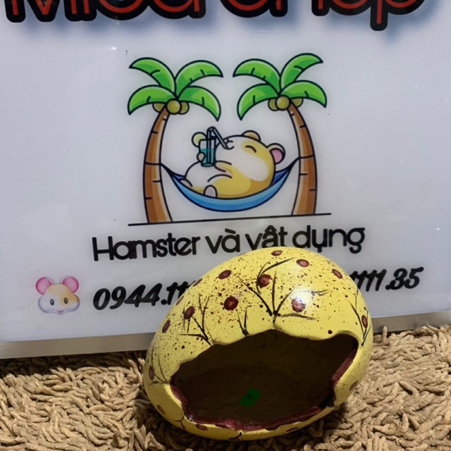 Nhà ngủ trứng khủng long