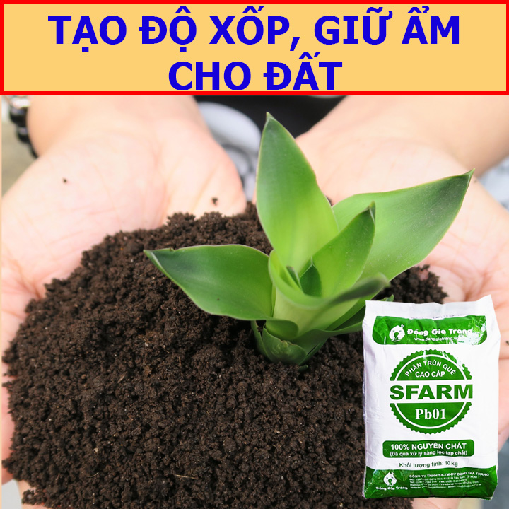 Phân Trùn Quế Nguyên Chất 10Kg